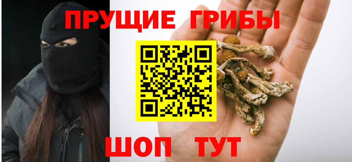 Галлюциногенные грибы Psilocybine cubensis  Вход с VPN  Нурлат 