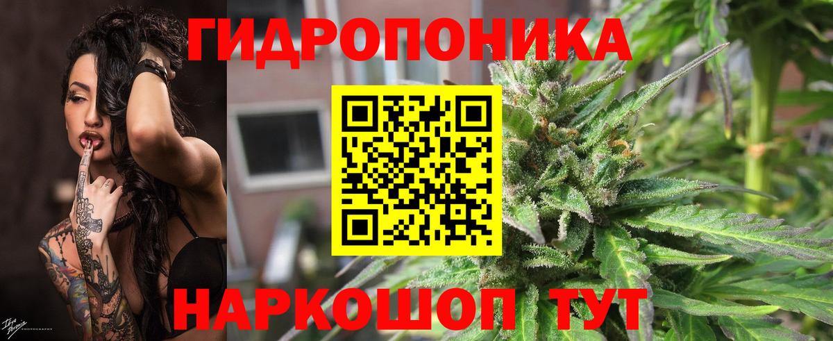 Марихуана гибрид Нурлат
